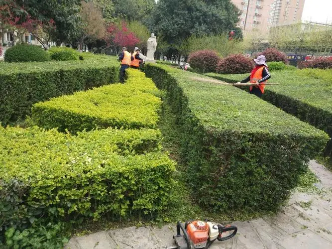 花镜园林景观设计