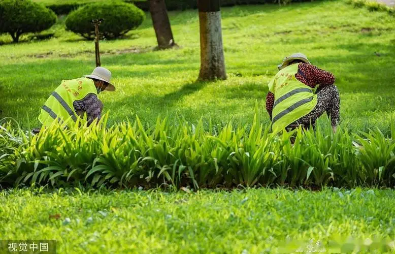 节假日期间人流量骤增，城市公园管理问题备受关注