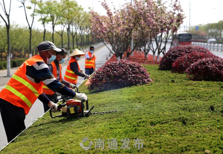 平顶山绿化和市容管理局