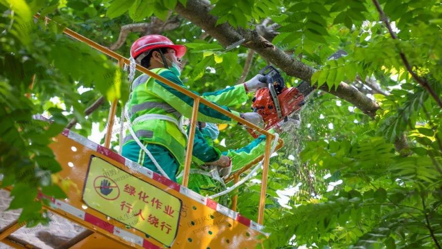 大理城市道路绿化养护成本